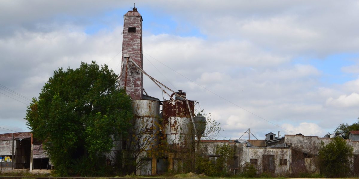 dsc_0535